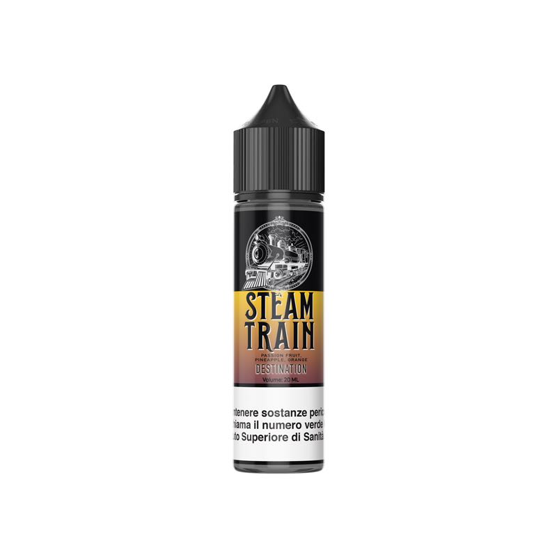 STEAM TRAIN DESTINATION - VAPE SHOT 20ML